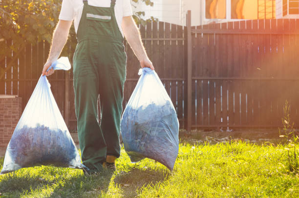 Best Affordable Junk Removal Services  in Fort Llins, CO
